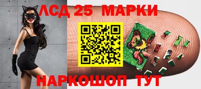 шишки Краснознаменск