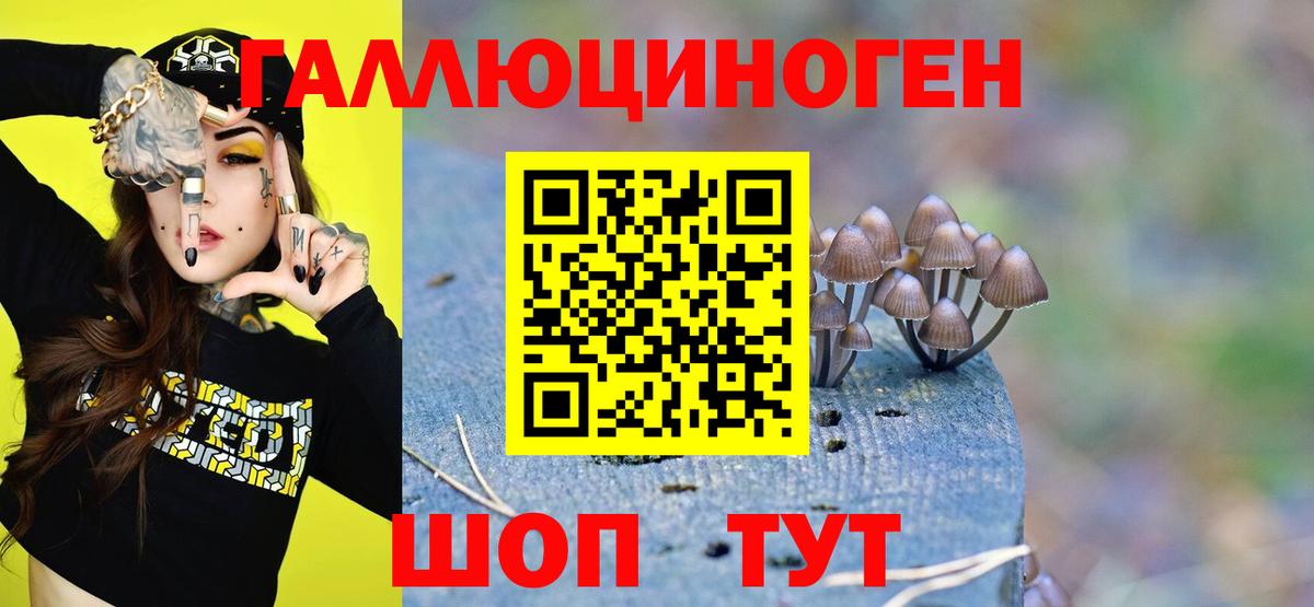 Псилоцибиновые грибы Magic Shrooms  Галлюциногенные грибы мицелий  Кострома  Вход с VPN 