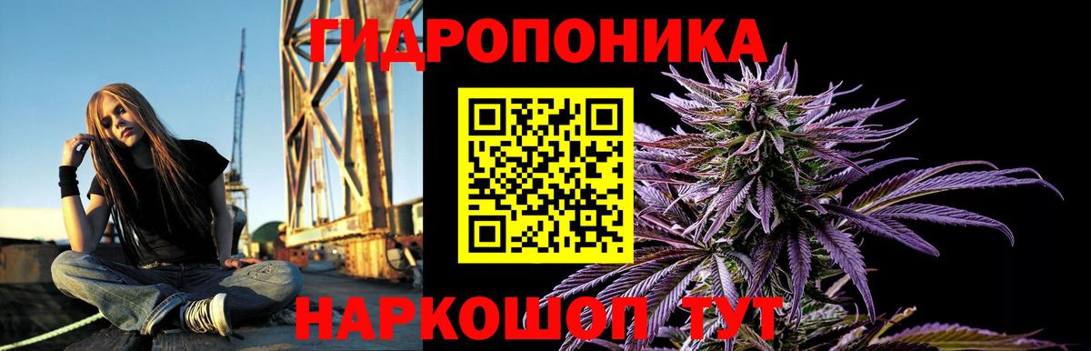 Шишки марихуана ГИДРОПОН  Канабис AK-47  Кострома  Вход с VPN  МАРИХУАНА THC 21% 